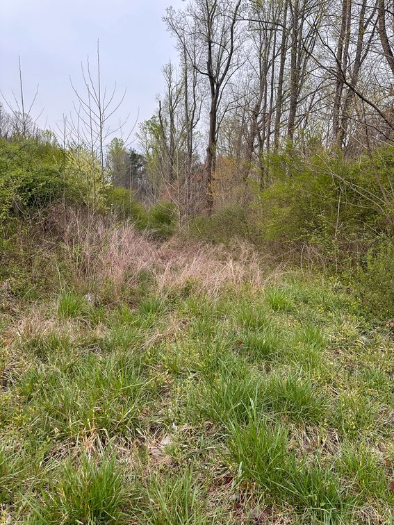 Image for 10 lots-N Main St Gretna VA Selling All For One Money!
