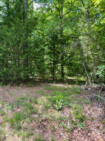 Image for Lot 6 Dearborn Rd,  Evington, VA  24550