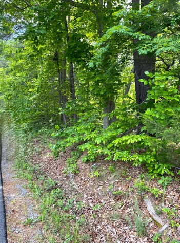 Image for Lot 6 Dearborn Rd,  Evington, VA  24550
