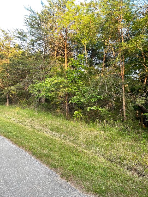 Image for 19.27 Acres On Lavender Ln,  Altavista, VA  24517