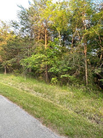 Image for 19.27 Acres On Lavender Ln,  Altavista, VA  24517