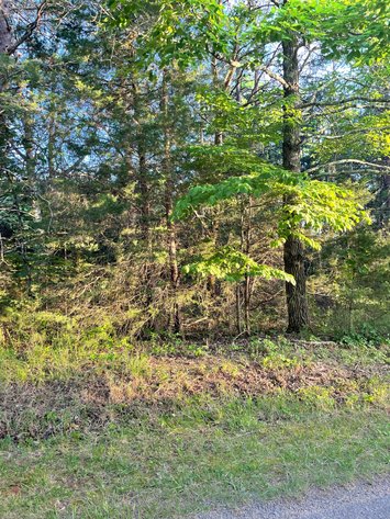 Image for 19.27 Acres On Lavender Ln,  Altavista, VA  24517