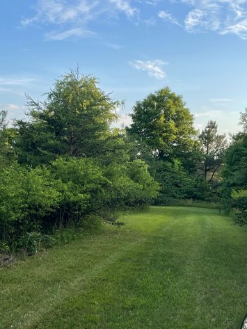 Image for 19.27 Acres On Lavender Ln,  Altavista, VA  24517