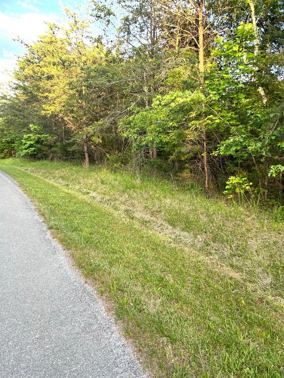 Image for 19.27 Acres On Lavender Ln,  Altavista, VA  24517