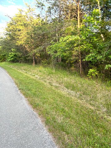 Image for 19.27 Acres On Lavender Ln,  Altavista, VA  24517