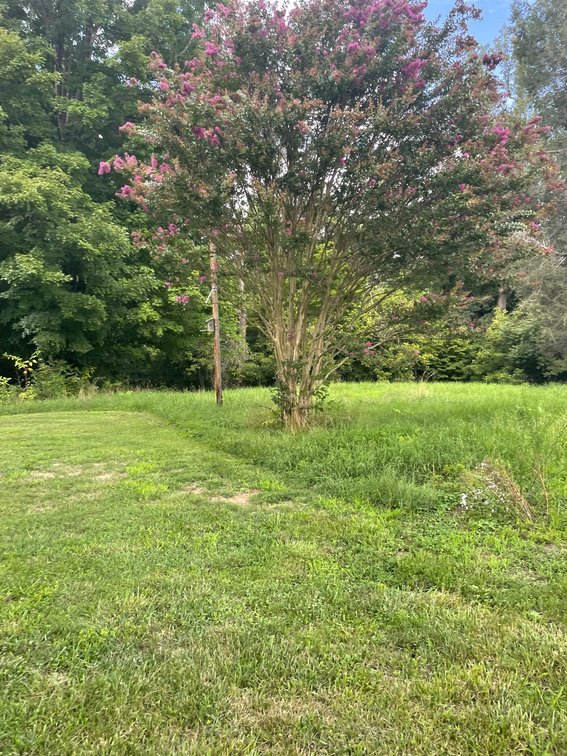 Image for 130 Pine Cone Ct, Monroe, VA 24574