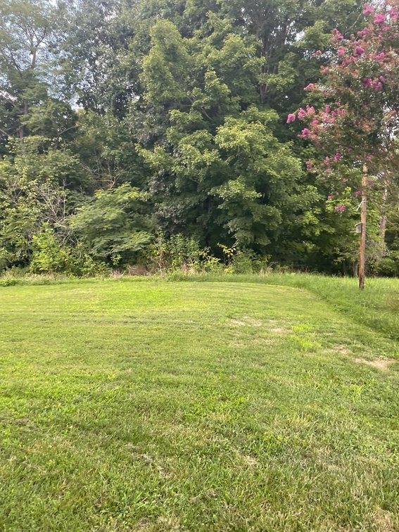 Image for 130 Pine Cone Ct, Monroe, VA 24574