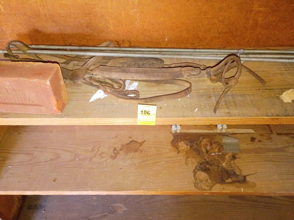 Shelf contents only