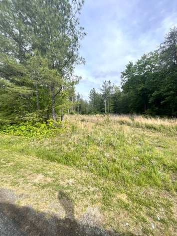 Image for Lot 2D  Three Creeks Rd,  Gladys, VA  24554