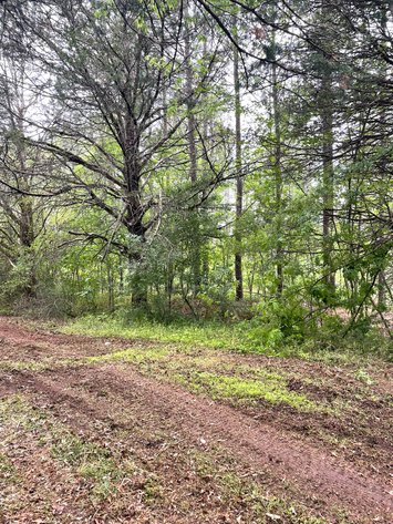 Image for Lot 2D  Three Creeks Rd,  Gladys, VA  24554