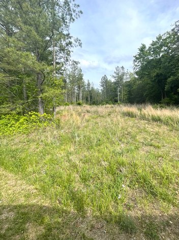 Image for Lot 2D  Three Creeks Rd,  Gladys, VA  24554
