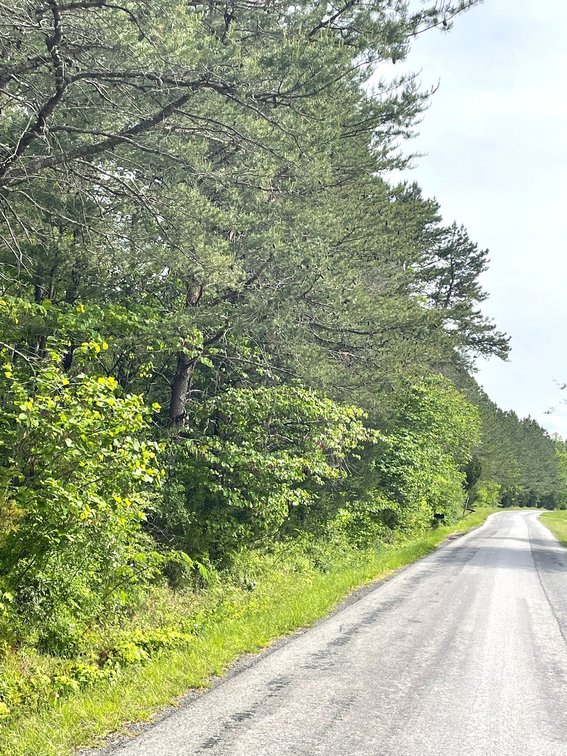 Image for Lot 2D  Three Creeks Rd,  Gladys, VA  24554