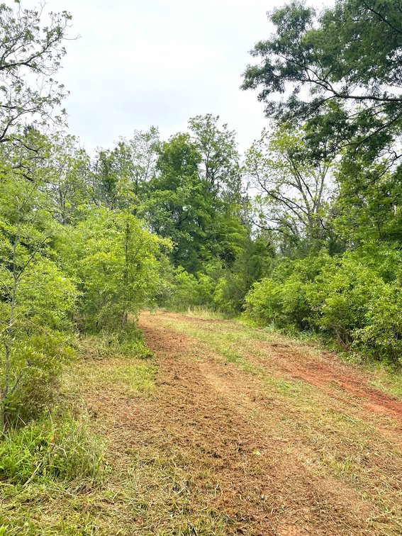 Image for Lot 2D  Three Creeks Rd,  Gladys, VA  24554