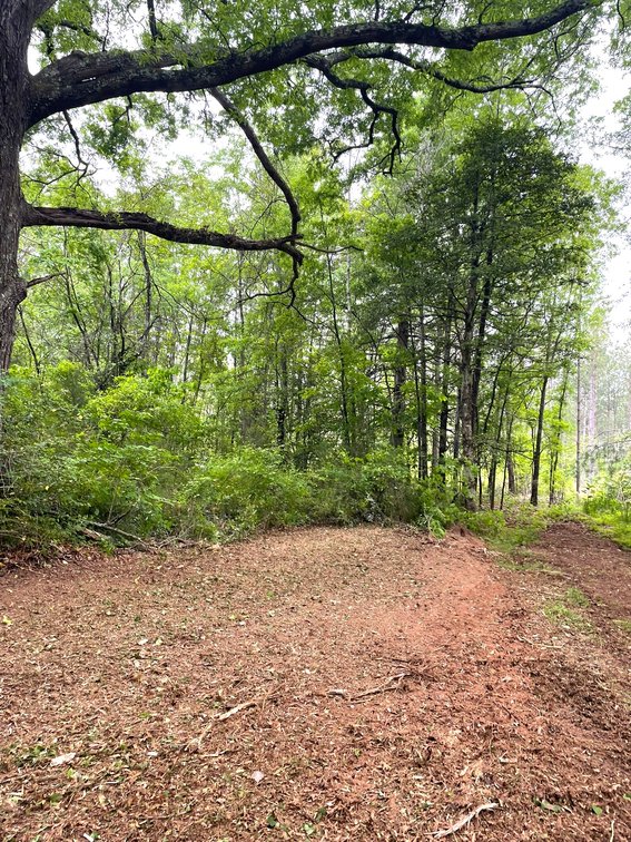 Image for Lot 2D  Three Creeks Rd,  Gladys, VA  24554