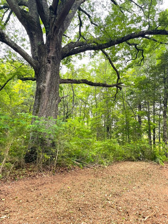 Image for Lot 2D  Three Creeks Rd,  Gladys, VA  24554