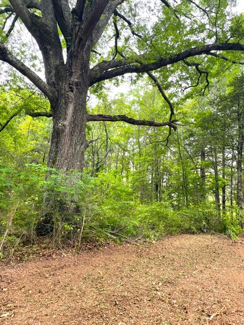 Image for Lot 2D  Three Creeks Rd,  Gladys, VA  24554