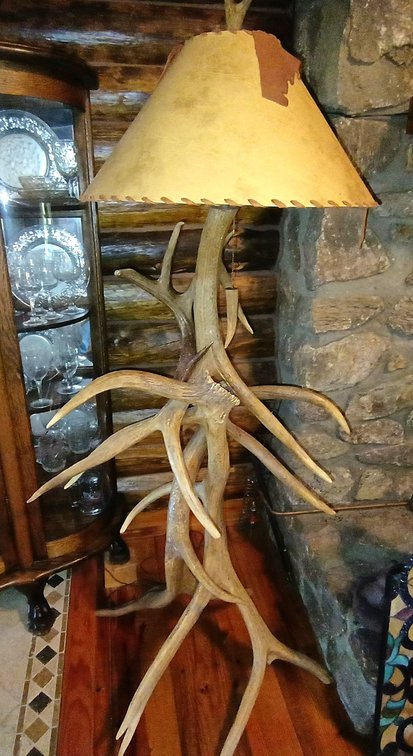 Antler Floor Lamp