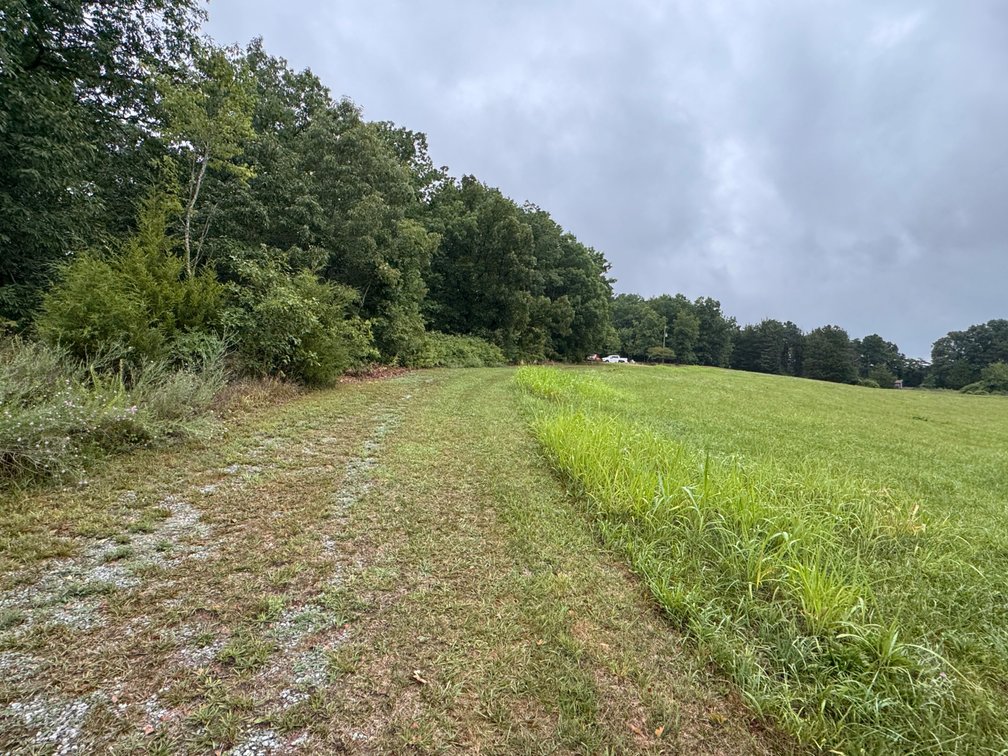 Image for Beautiful Log Home on 14.5 Acres-Bear Creek Rd Rustburg
