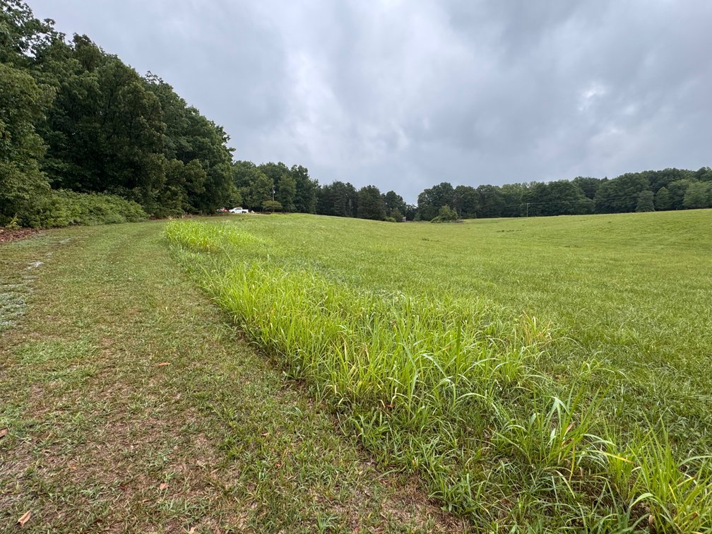 Image for Beautiful Log Home on 14.5 Acres-Bear Creek Rd Rustburg