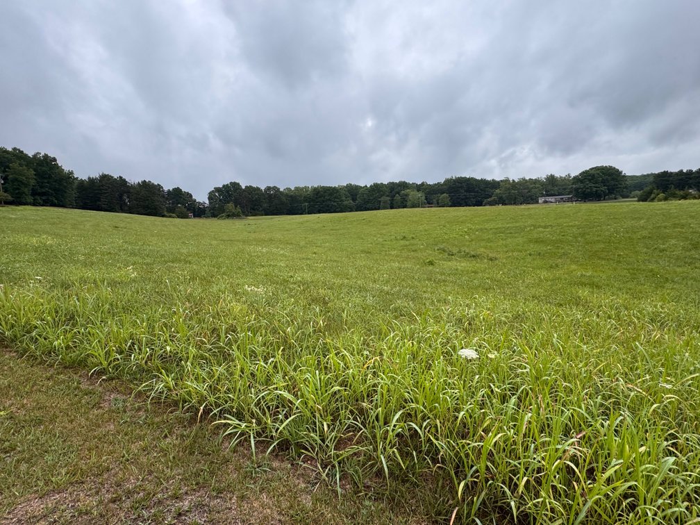 Image for Beautiful Log Home on 14.5 Acres-Bear Creek Rd Rustburg