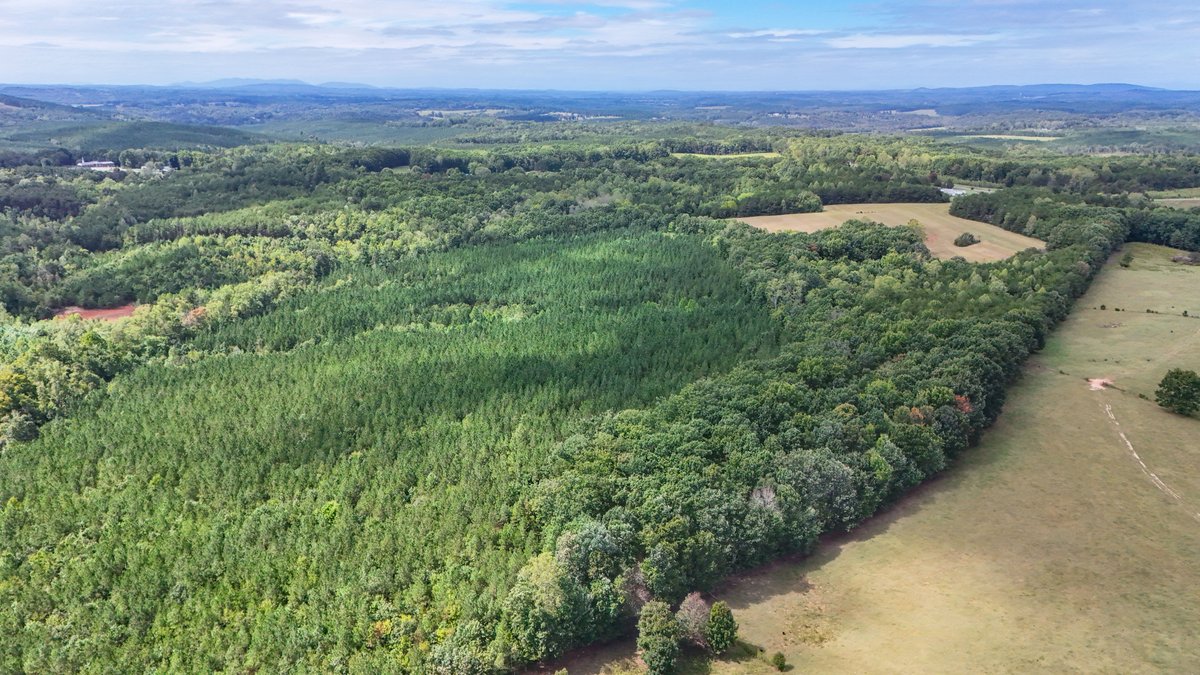 Image for Tract A Tabor Rd, Gladys, VA 24554