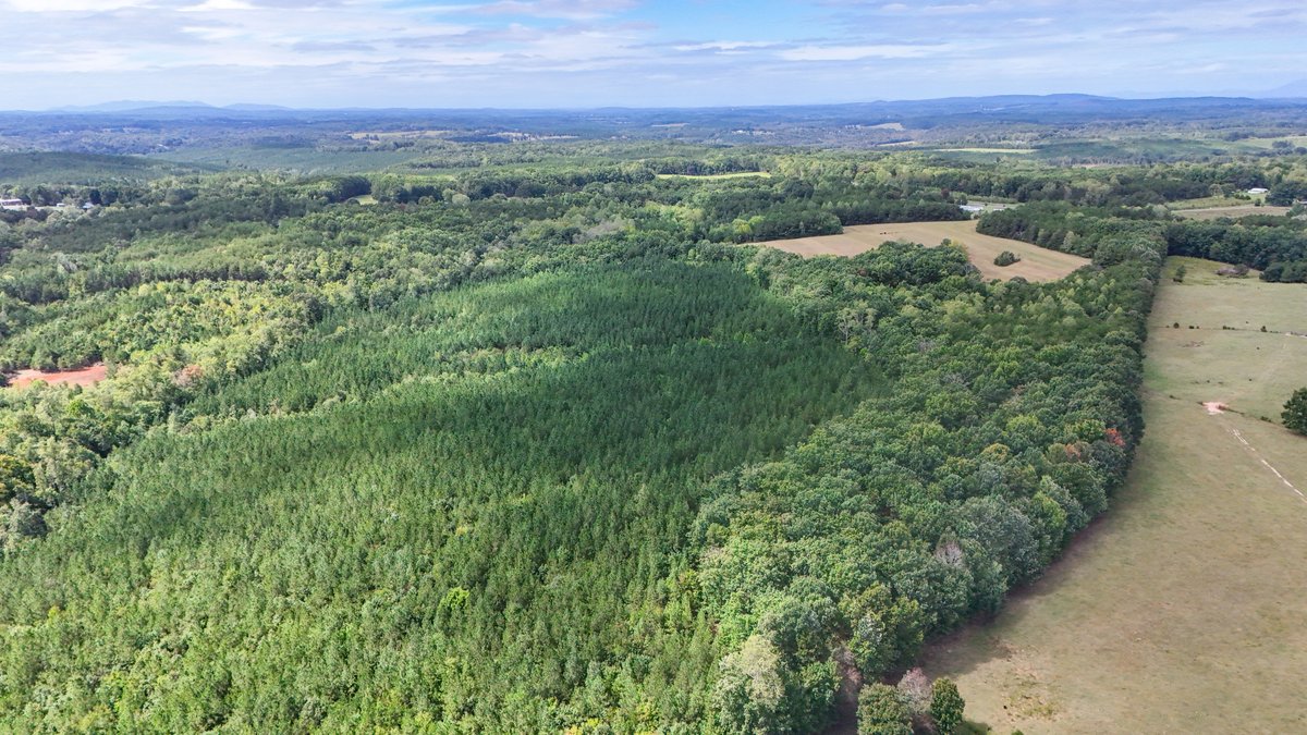 Image for Tract A Tabor Rd, Gladys, VA 24554