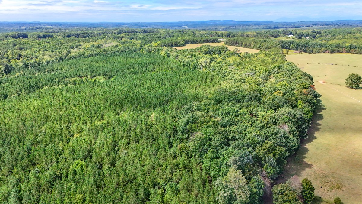 Image for Tract A Tabor Rd, Gladys, VA 24554