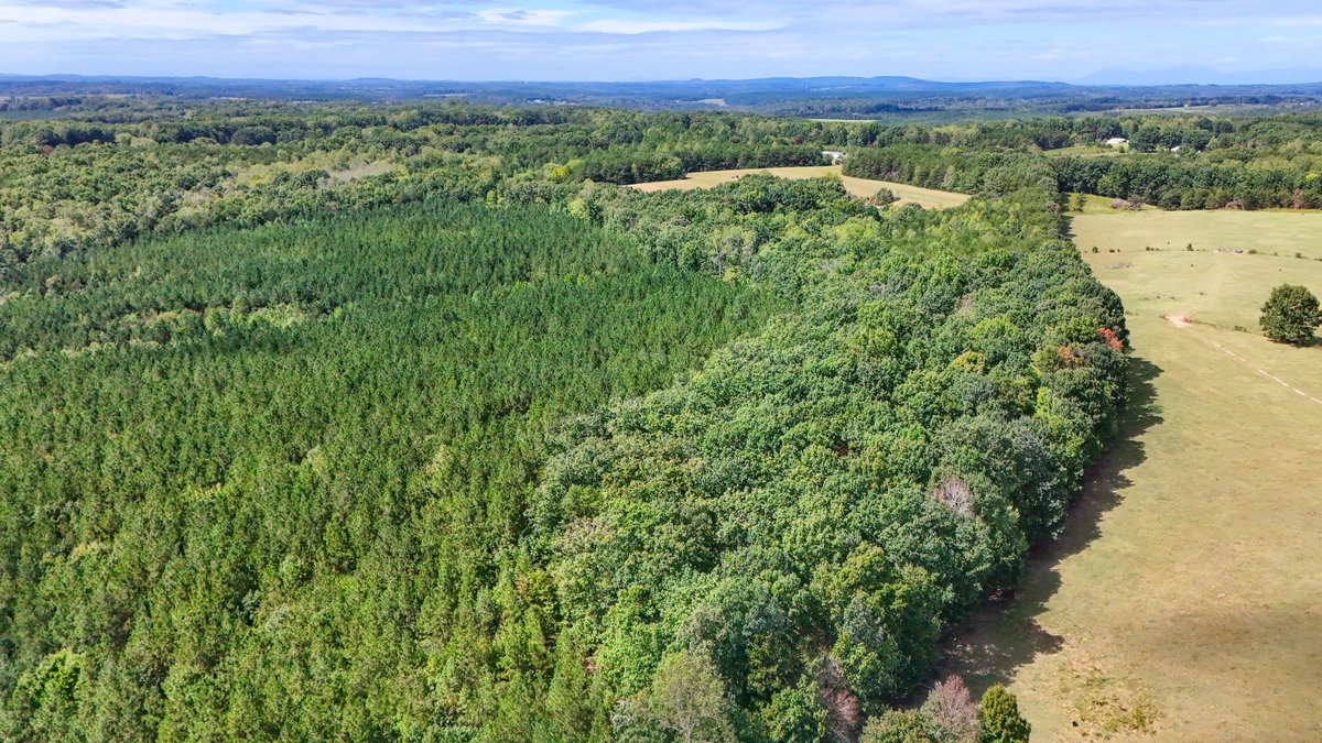 Image for Tract A Tabor Rd, Gladys, VA 24554