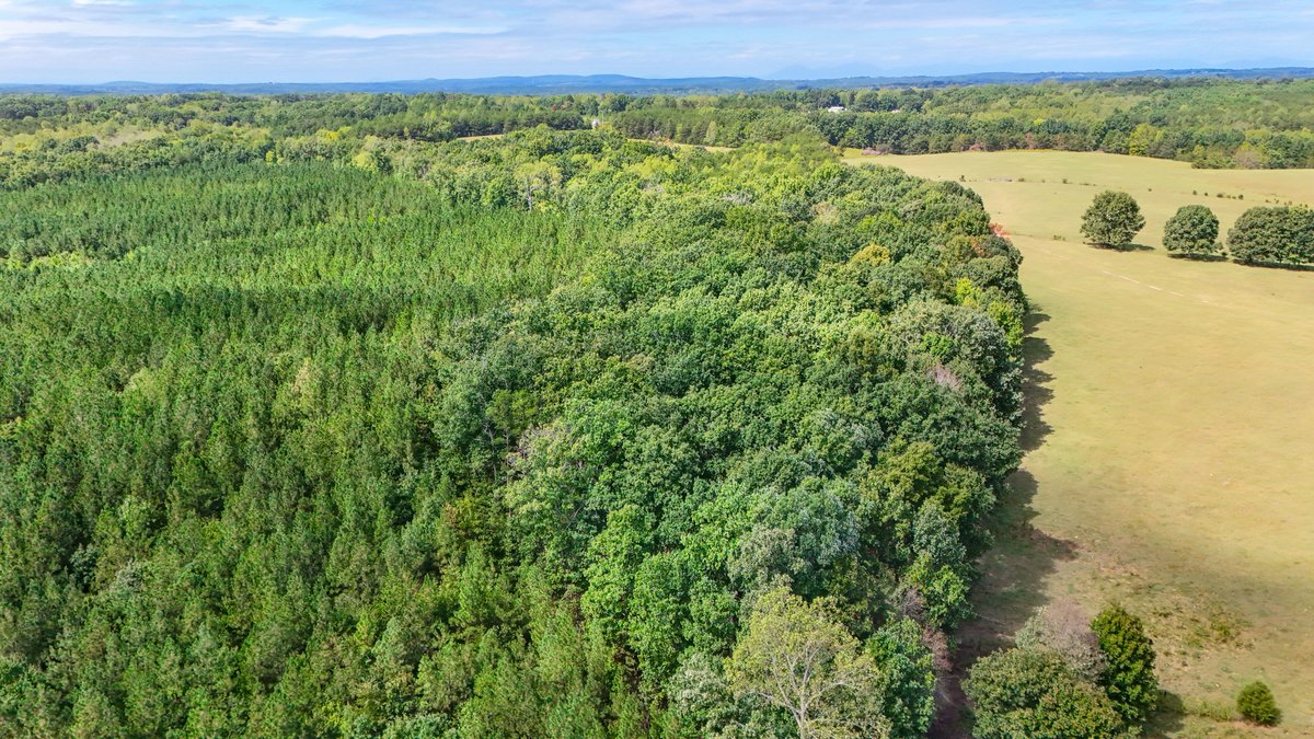 Image for Tract A Tabor Rd, Gladys, VA 24554