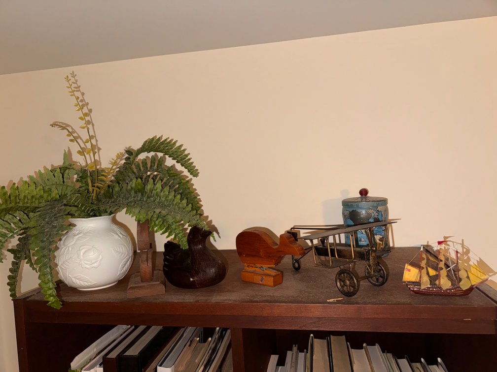 Contents of Top of Book Case Ducks, Planes & More