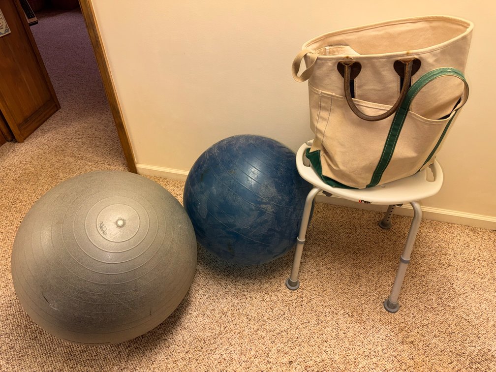 Shower Chair, (2) Work Out Balls, & Some Cloth Bags