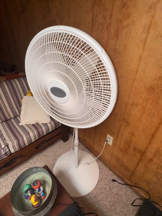 Floor oscilating Fan
