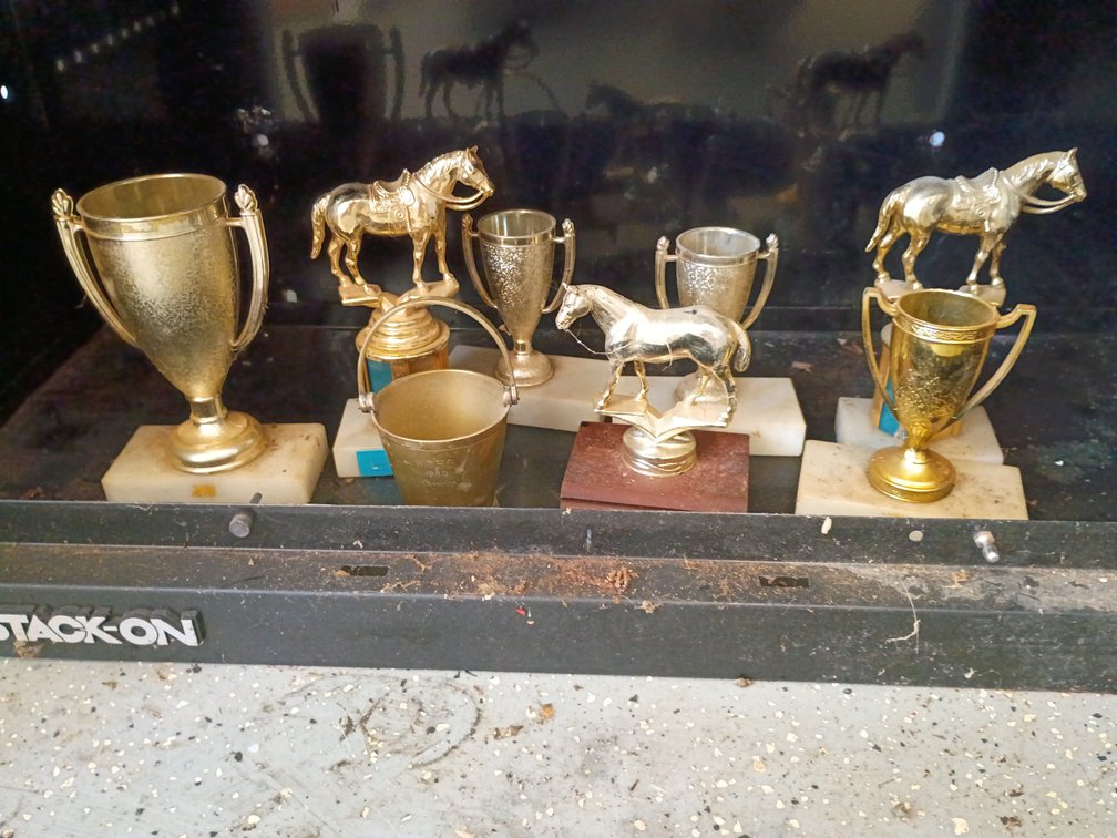 Lot of Small Equestrian Trophies