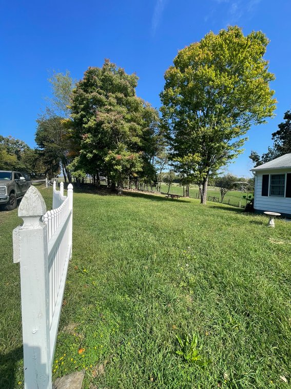 Image for Brookneal Single-Family Home for Auction