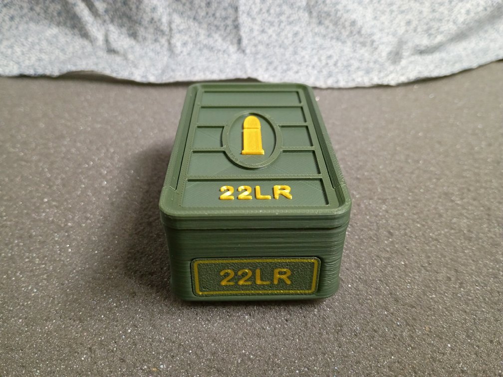 .22 LR Ammo Case