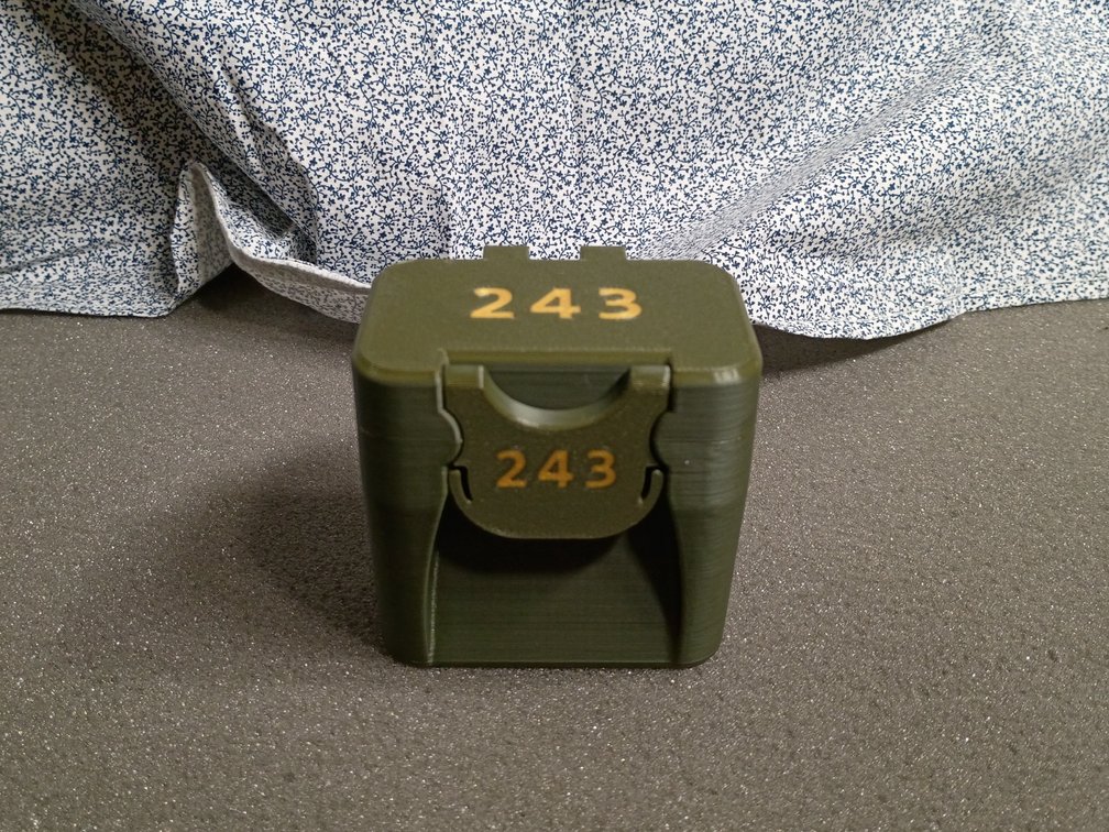 .243 Ammo Case