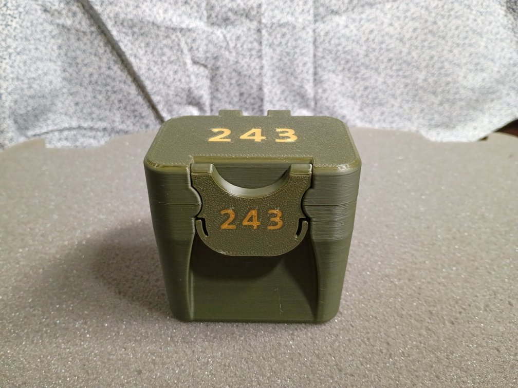 243 Ammo Case
