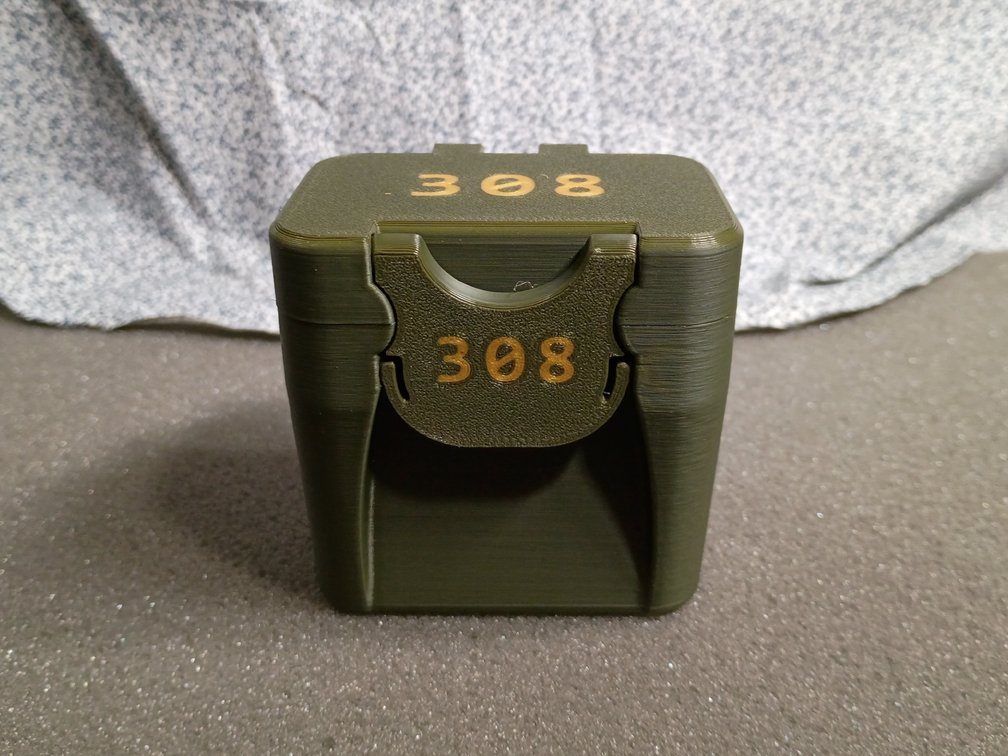 .308 Ammo Case
