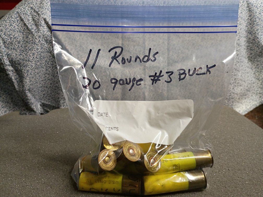 Bag Lot of 20 Gauge #3 Buck