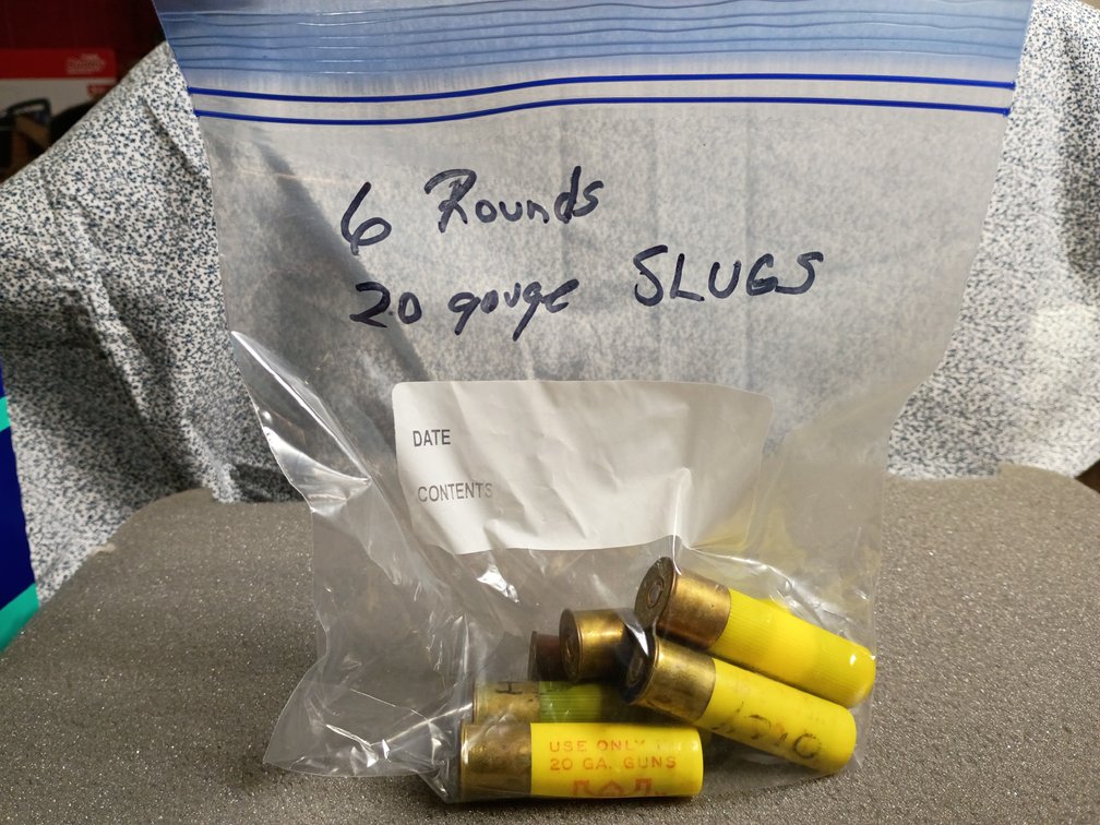Bag Lot of 20 Gauge Slugs