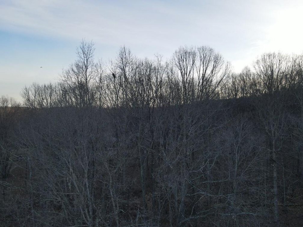 Image for Dream Home on 7.76 Acres Victoria Lane Rustburg