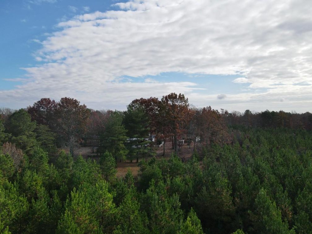 Image for DOUBLEWIDE ON 32 +/- ACRES BUCKINGHAM