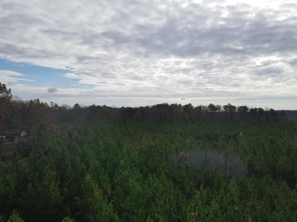 Image for DOUBLEWIDE ON 32 +/- ACRES BUCKINGHAM