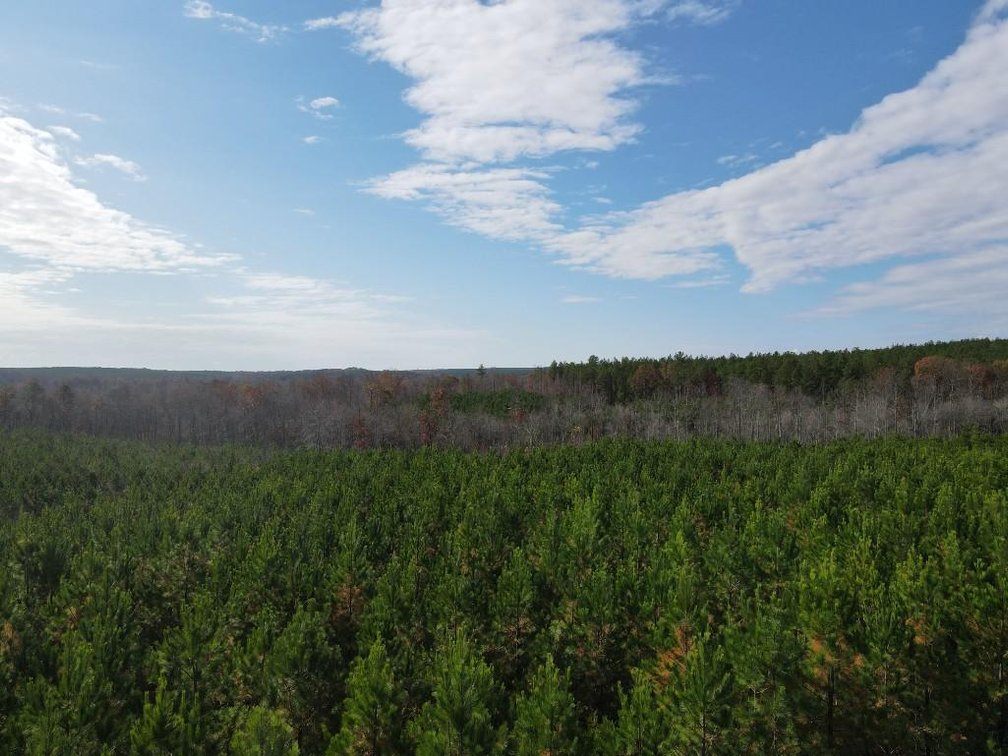 Image for DOUBLEWIDE ON 32 +/- ACRES BUCKINGHAM