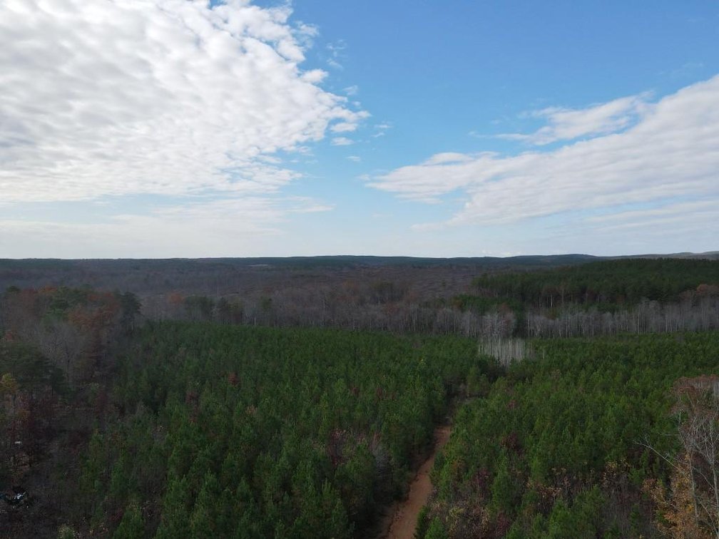 Image for DOUBLEWIDE ON 32 +/- ACRES BUCKINGHAM