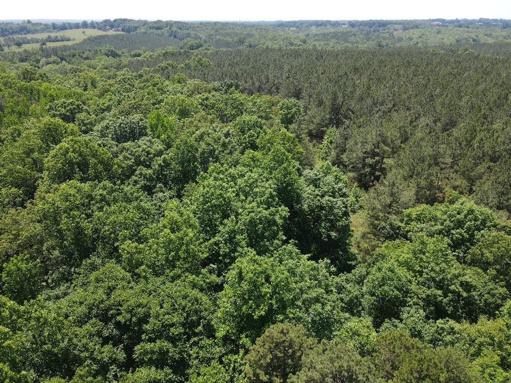 Image for ** SOLD PRIOR TO AUCTION**  Selling For The Estate of Robert Owen 152.97 Ac in Brookneal, VA