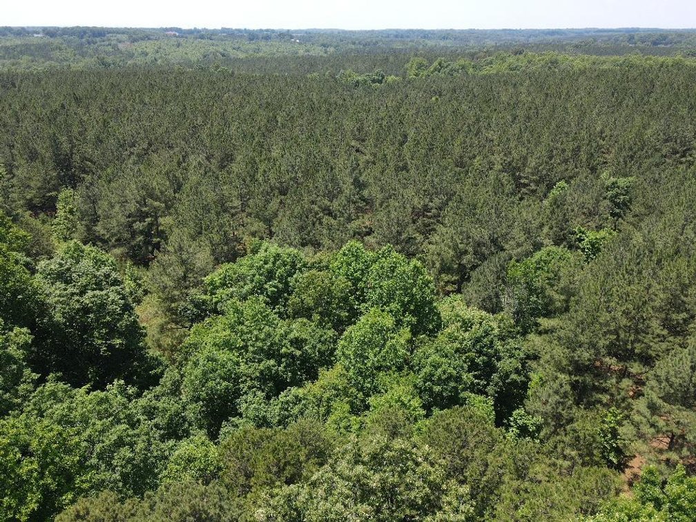 Image for ** SOLD PRIOR TO AUCTION**  Selling For The Estate of Robert Owen 152.97 Ac in Brookneal, VA