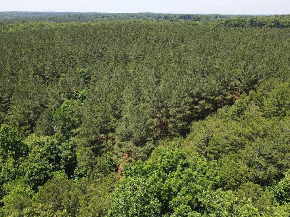 Image for ** SOLD PRIOR TO AUCTION**  Selling For The Estate of Robert Owen 152.97 Ac in Brookneal, VA