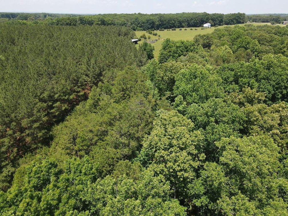 Image for ** SOLD PRIOR TO AUCTION**  Selling For The Estate of Robert Owen 152.97 Ac in Brookneal, VA