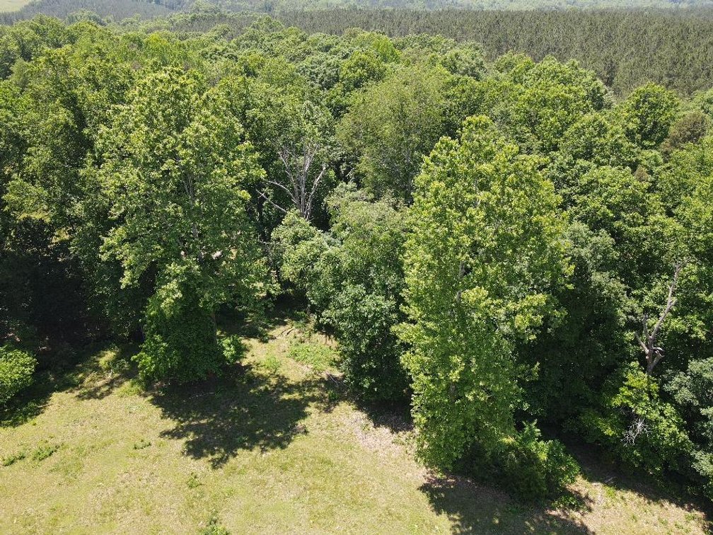 Image for ** SOLD PRIOR TO AUCTION**  Selling For The Estate of Robert Owen 152.97 Ac in Brookneal, VA